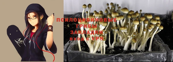 экстази Аркадак