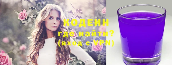 меф Ельня
